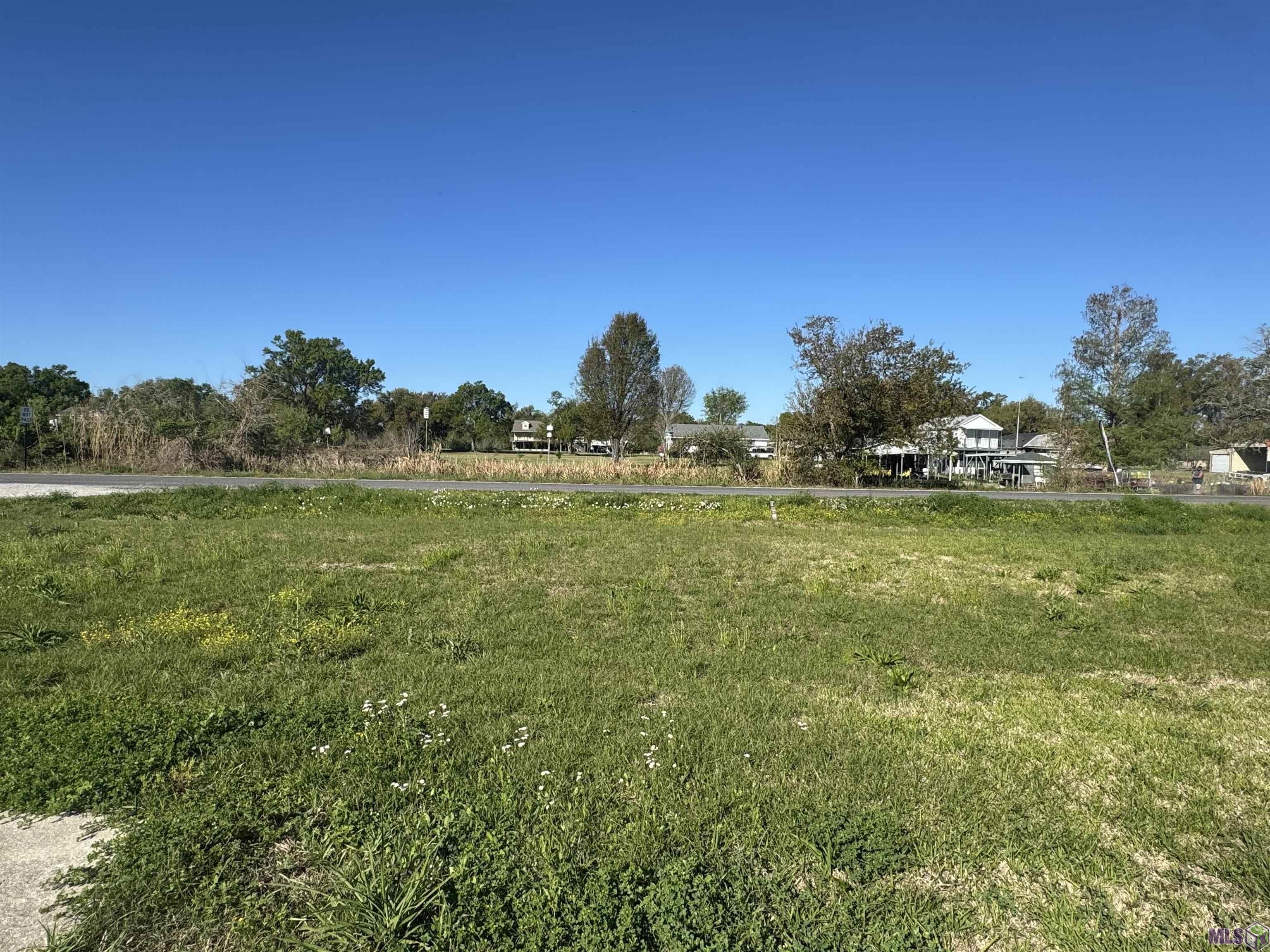 1447 Bayou Dularge Road Theriot, LA 70397 - Photo 3 of 5