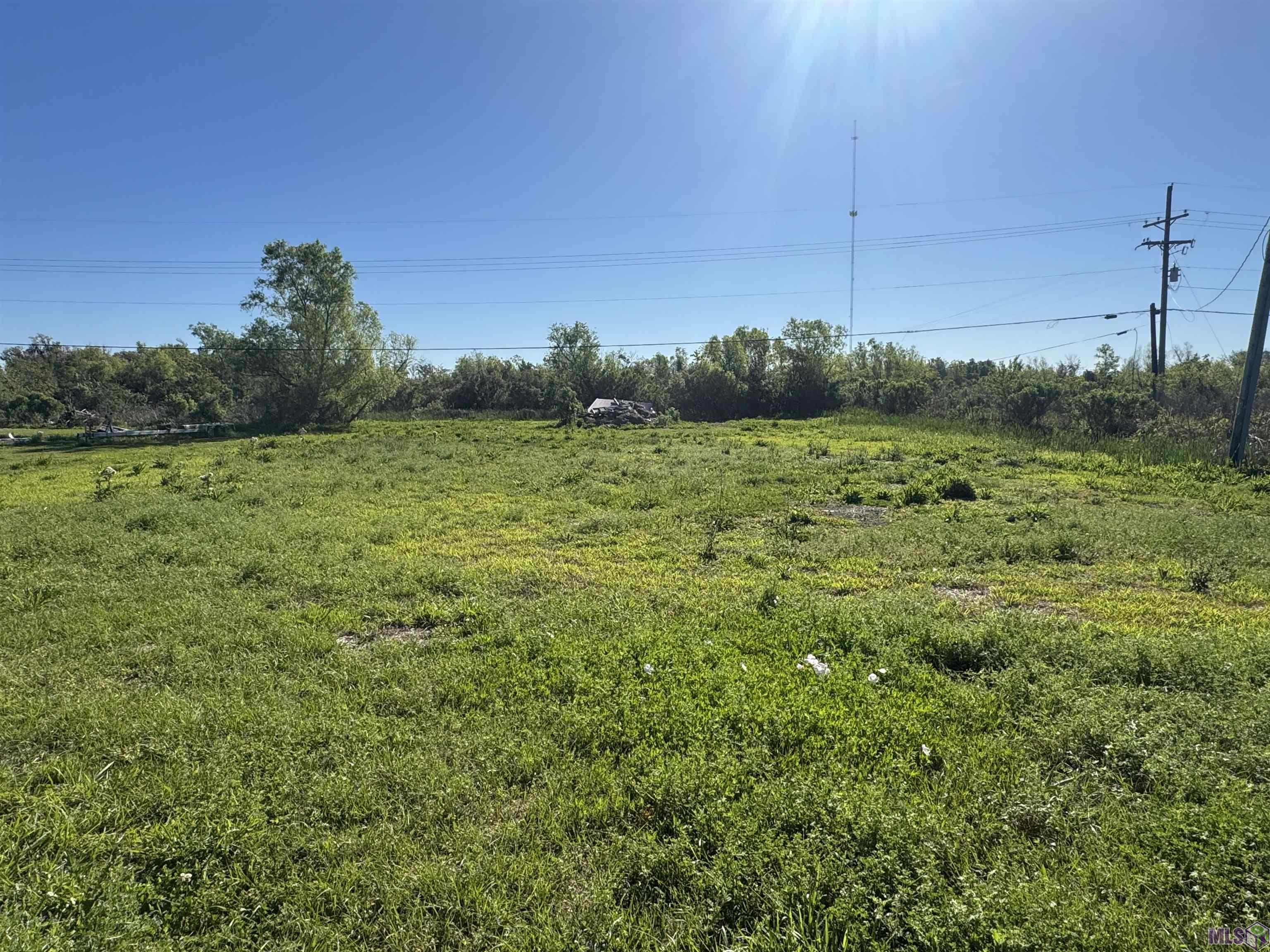 1447 Bayou Dularge Road Theriot, LA 70397 - Photo 4 of 5