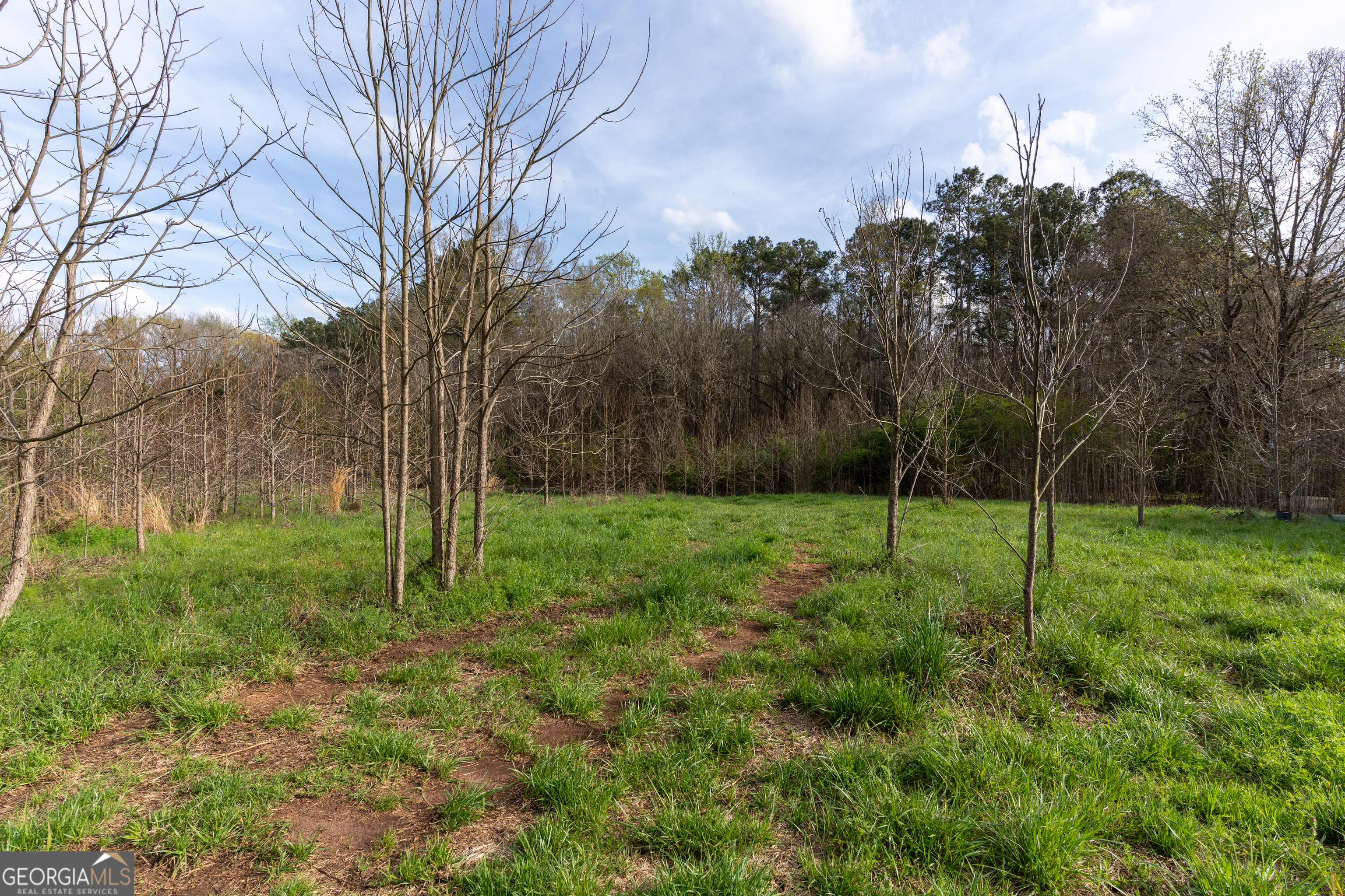 0 Aikenton Road Monticello, GA 31064 - Photo 15 of 16