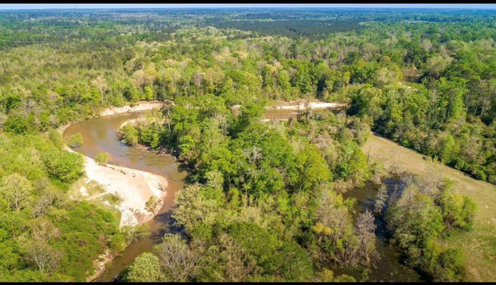 2158 Lloyd Hamilton Road McComb, MS 39648 - Photo 3 of 8 Photo 3