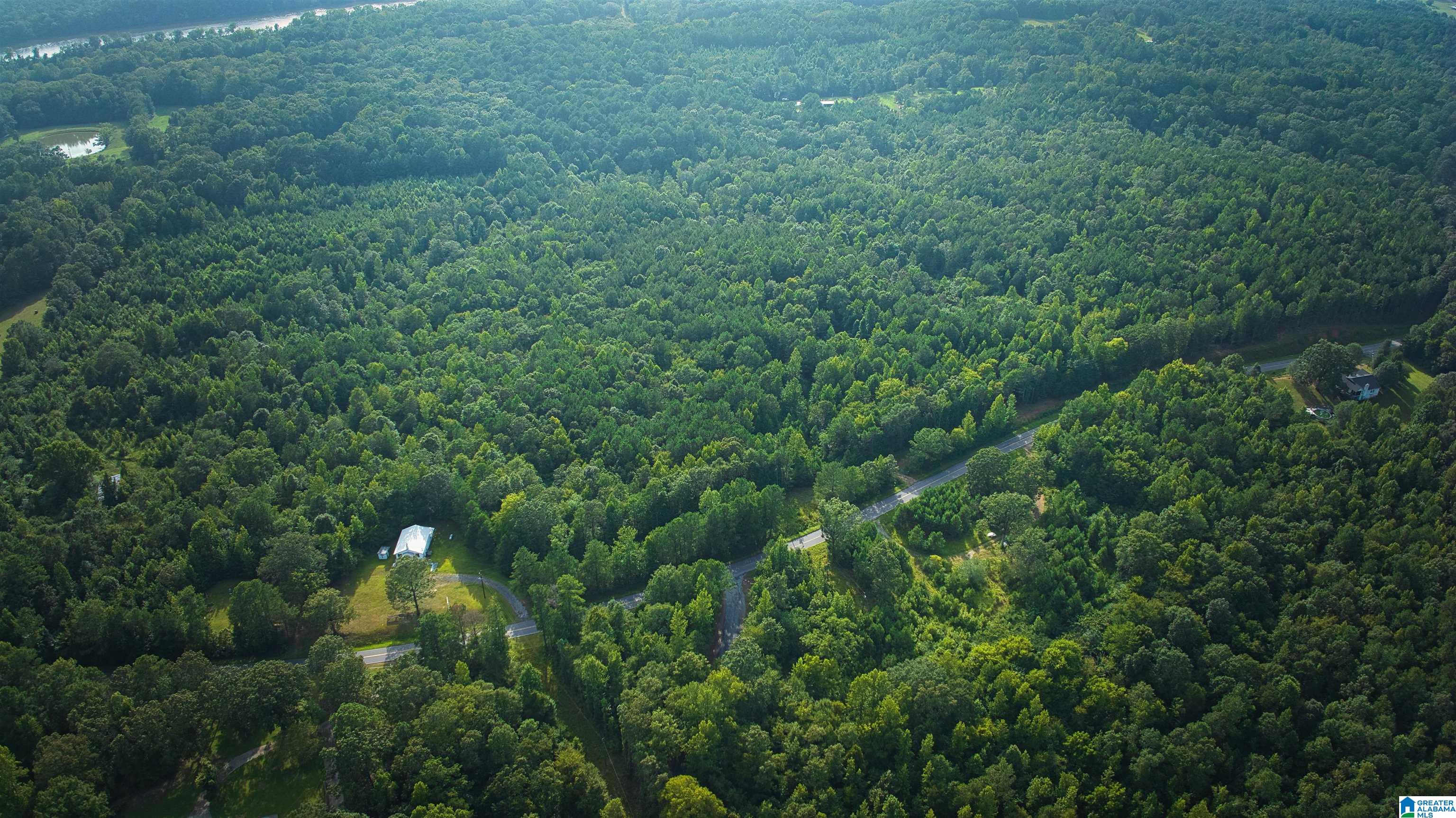 Lot 20 Wester Road, Unit LOT 20 Ragland, AL 35131 - Photo 45 of 68