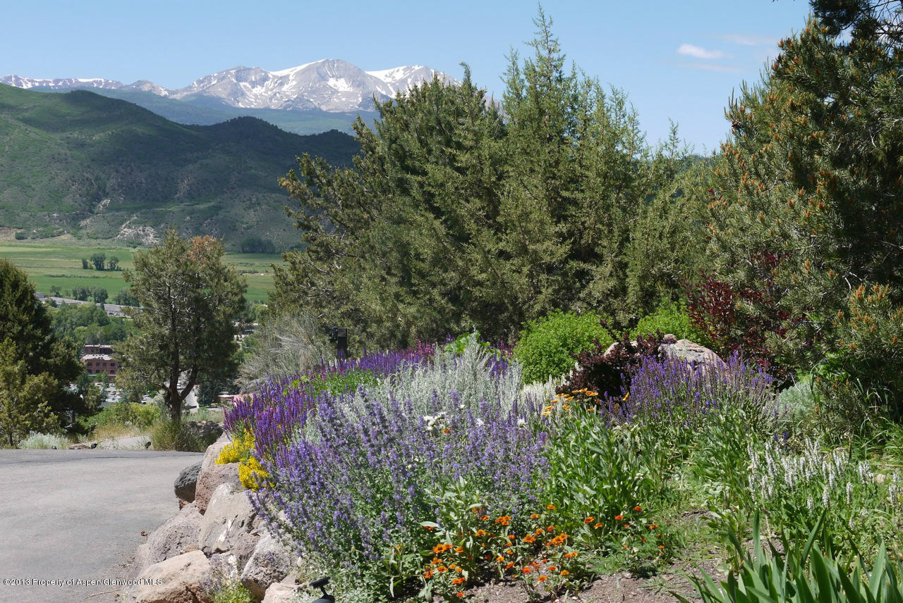 200 Ridge Road Basalt, CO 81621 - Photo 20 of 25 Sopris View