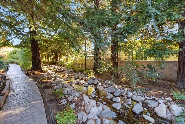 a view of a pathway with a tree