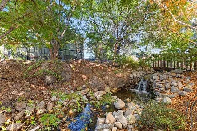 a view of a yard with plants and tree