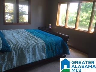 206 Viewpoint Circle Pell City, AL 35128 - Photo 27 of 48