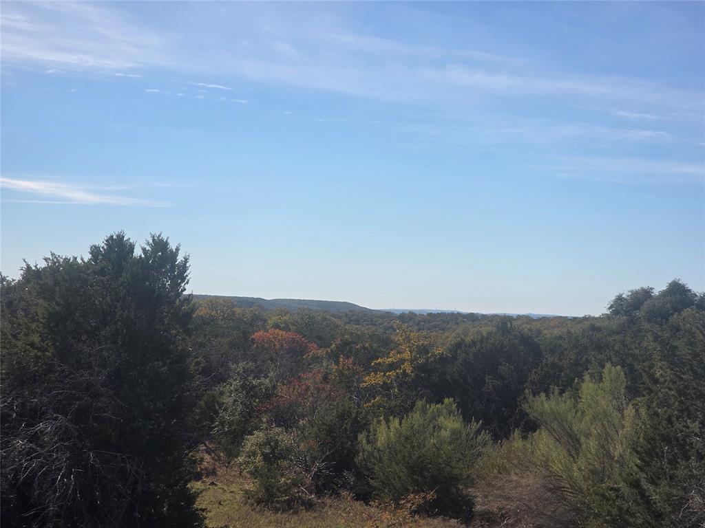 242.442-acres McClure Ranch Road Palo Pinto, TX 76484 - Photo 1 of 32