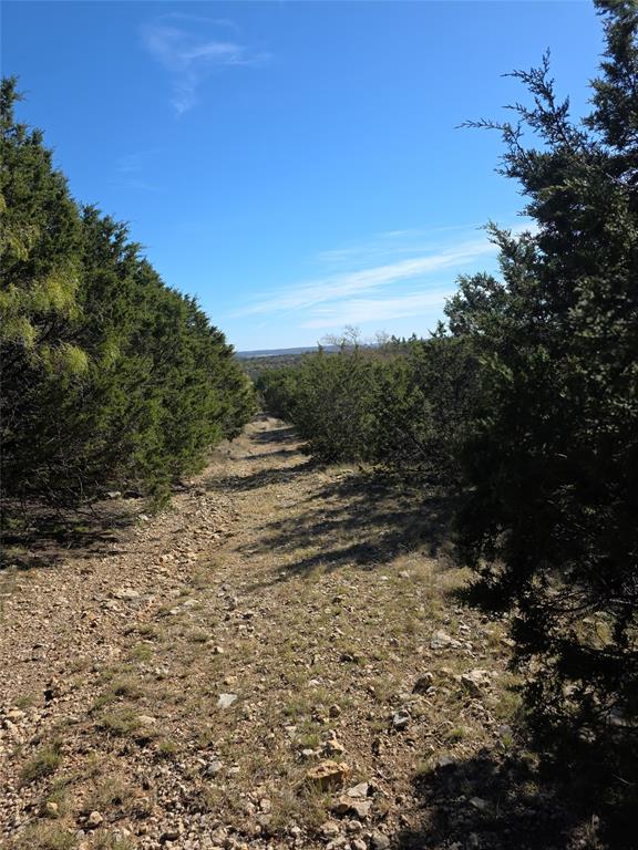 242.442-acres McClure Ranch Road Palo Pinto, TX 76484 - Photo 11 of 32