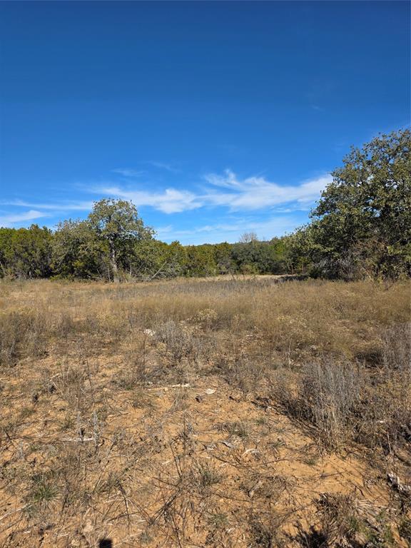 242.442-acres McClure Ranch Road Palo Pinto, TX 76484 - Photo 14 of 32