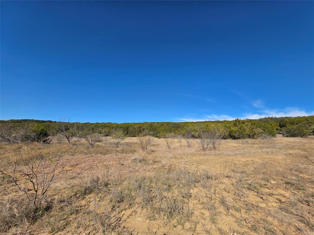 242.442-acres McClure Ranch Road Palo Pinto, TX 76484 - Photo 16 of 32