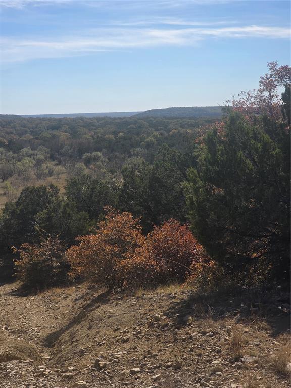 242.442-acres McClure Ranch Road Palo Pinto, TX 76484 - Photo 17 of 32