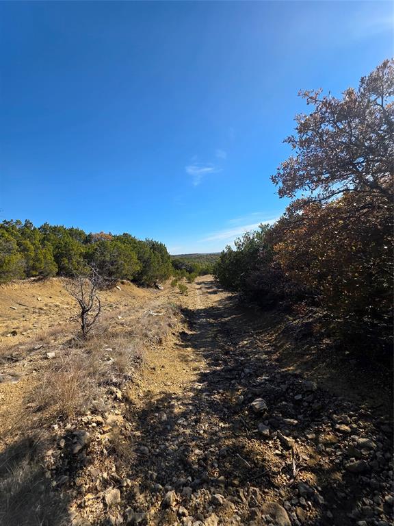 242.442-acres McClure Ranch Road Palo Pinto, TX 76484 - Photo 19 of 32