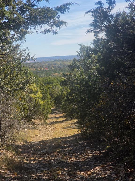 242.442-acres McClure Ranch Road Palo Pinto, TX 76484 - Photo 20 of 32