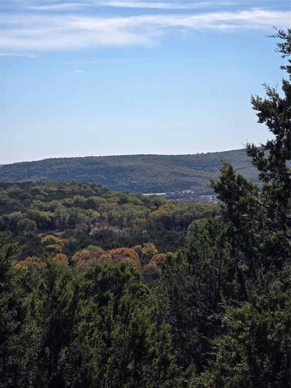 242.442-acres McClure Ranch Road Palo Pinto, TX 76484 - Photo 2 of 32