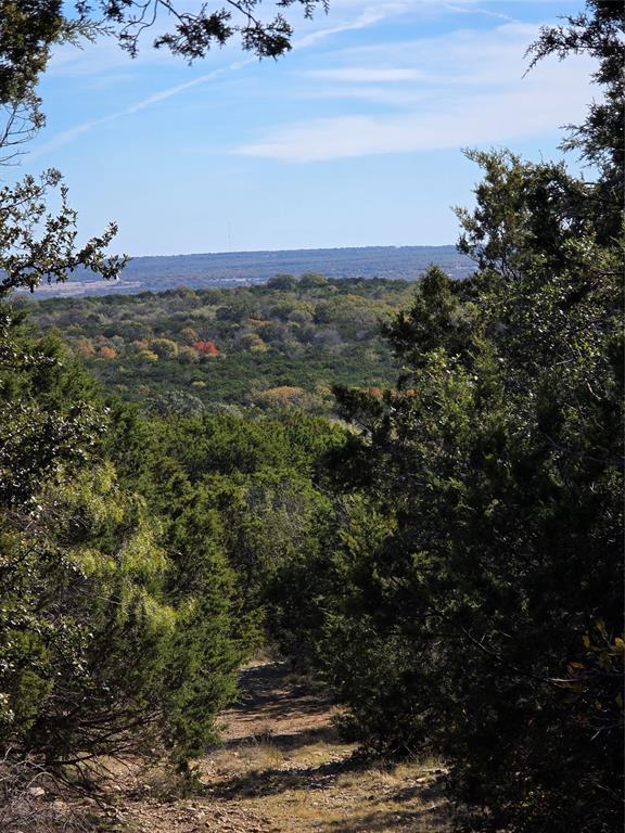 242.442-acres McClure Ranch Road Palo Pinto, TX 76484 - Photo 21 of 32