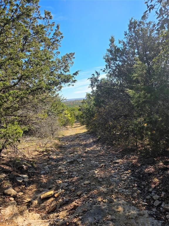 242.442-acres McClure Ranch Road Palo Pinto, TX 76484 - Photo 22 of 32