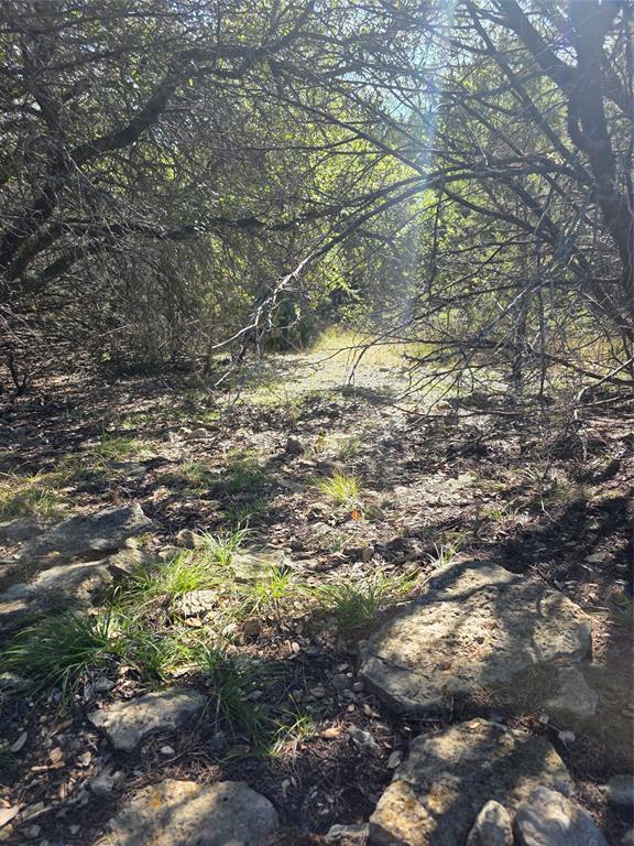242.442-acres McClure Ranch Road Palo Pinto, TX 76484 - Photo 23 of 32