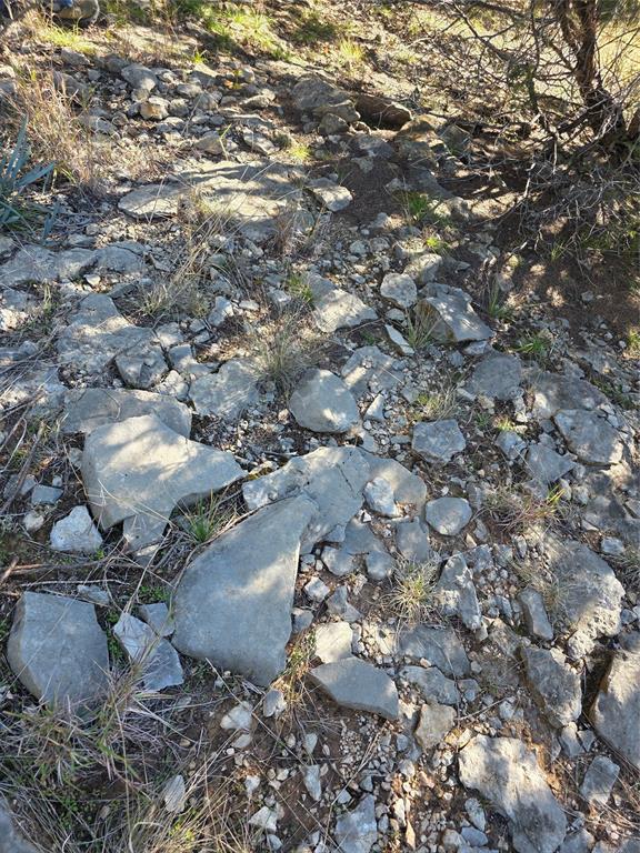 242.442-acres McClure Ranch Road Palo Pinto, TX 76484 - Photo 24 of 32