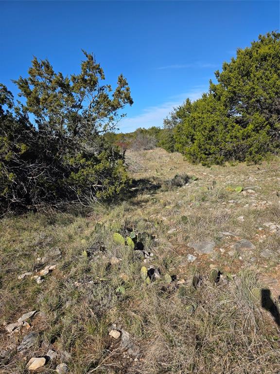 242.442-acres McClure Ranch Road Palo Pinto, TX 76484 - Photo 25 of 32