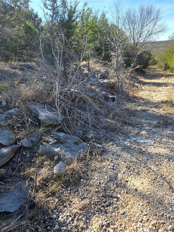 242.442-acres McClure Ranch Road Palo Pinto, TX 76484 - Photo 26 of 32