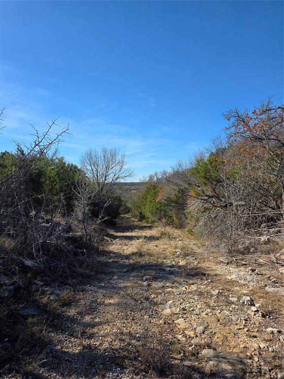 242.442-acres McClure Ranch Road Palo Pinto, TX 76484 - Photo 28 of 32