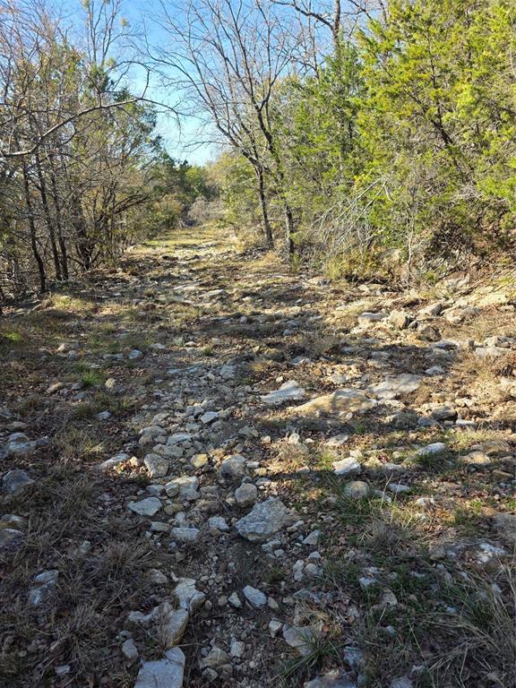 242.442-acres McClure Ranch Road Palo Pinto, TX 76484 - Photo 29 of 32