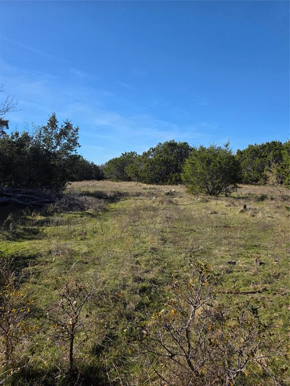 242.442-acres McClure Ranch Road Palo Pinto, TX 76484 - Photo 30 of 32
