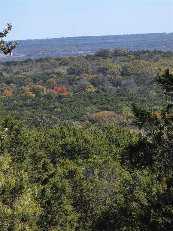 242.442-acres McClure Ranch Road Palo Pinto, TX 76484 - Photo 3 of 32
