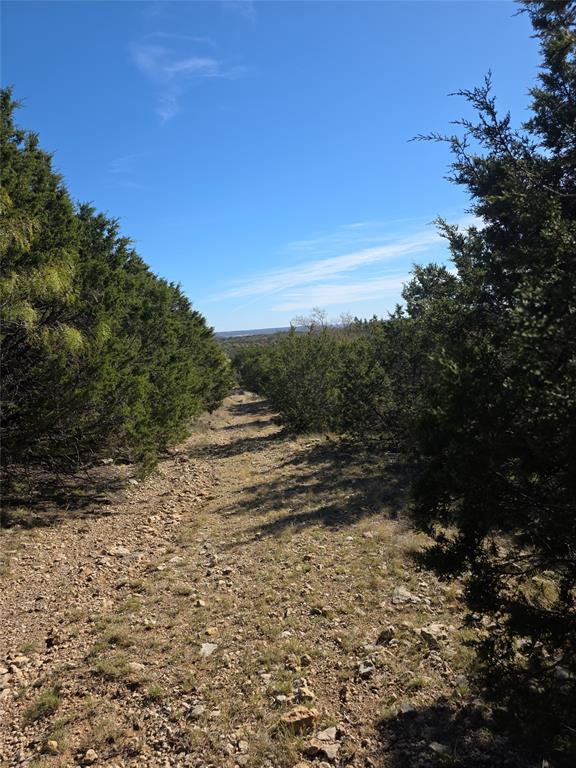 242.442-acres McClure Ranch Road Palo Pinto, TX 76484 - Photo 4 of 32