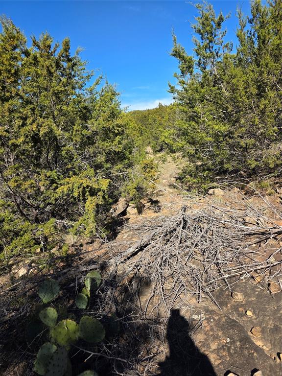 242.442-acres McClure Ranch Road Palo Pinto, TX 76484 - Photo 10 of 32