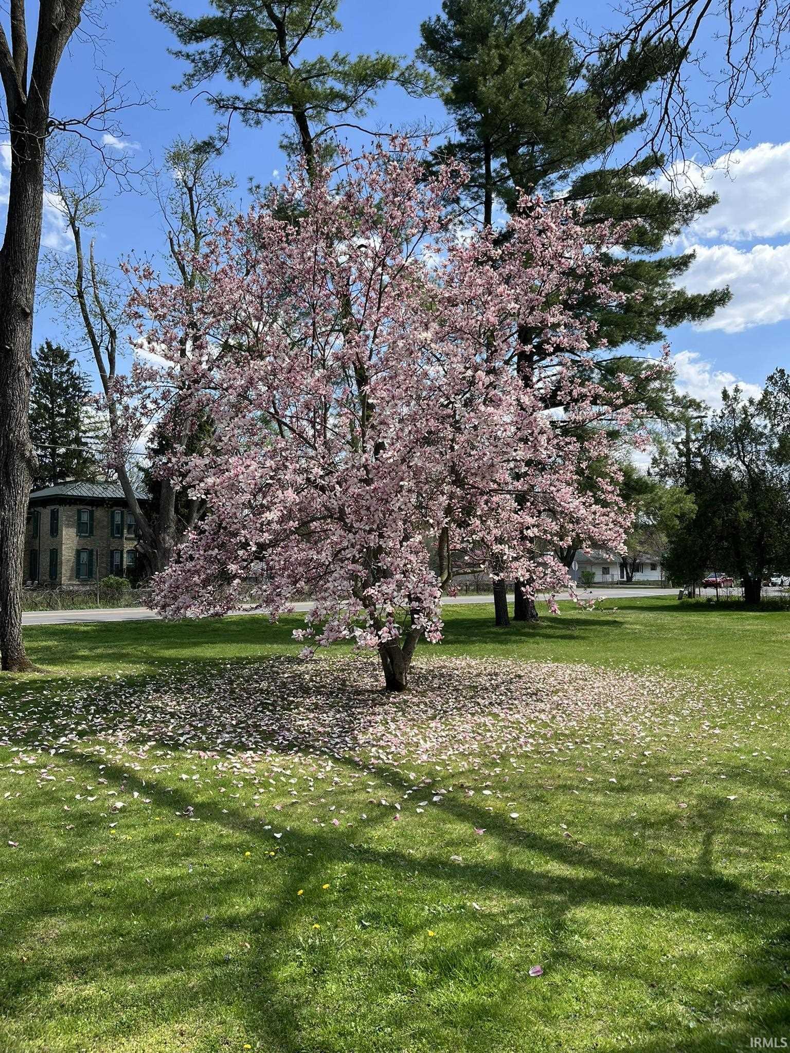 51963 Grape Road Granger, IN 46530 - Photo 31 of 32