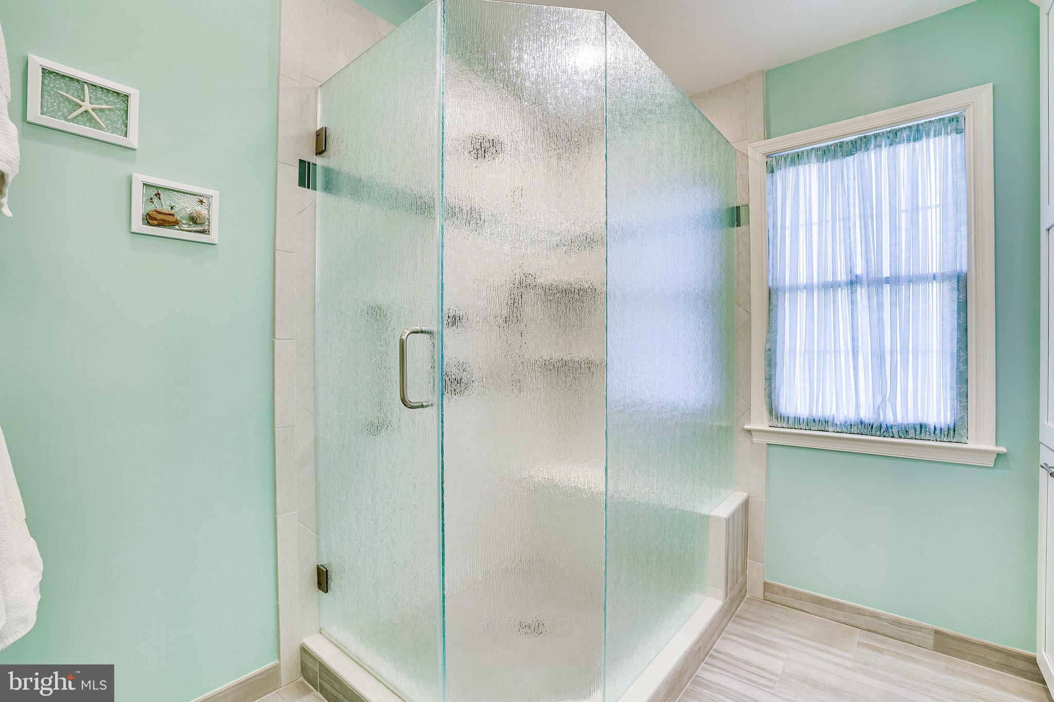 1223 Woodbrook Court Reston, VA 20194 - Photo 40 of 86 Frameless glass shower w/ rain drop pattern