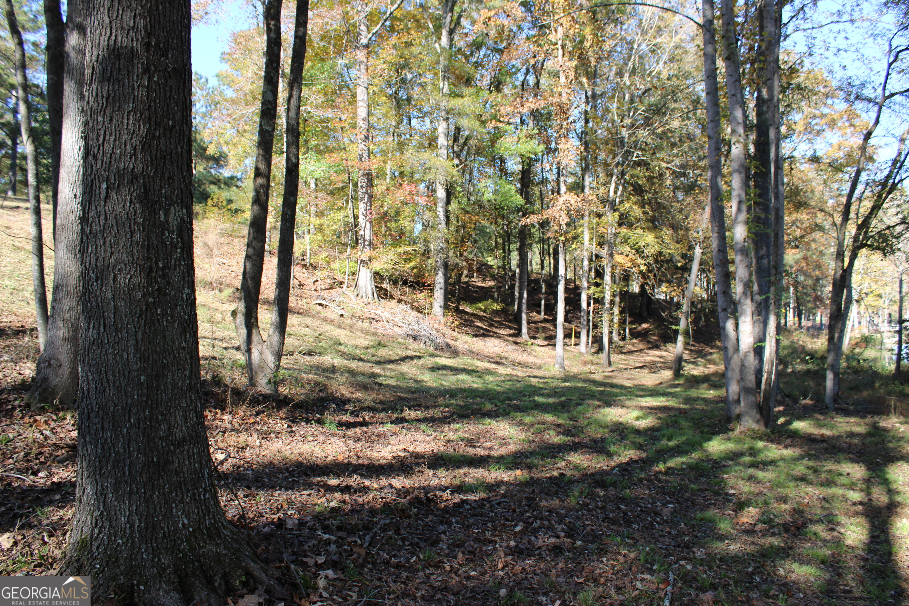 1701 Blue Springs Road Buckhead, GA 30625 - Photo 21 of 24 a view of a yard with a tree
