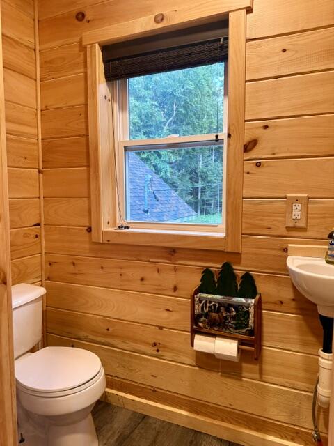 455 West Van Buren Cove Road Sinclair, ME 04779 - Photo 23 of 50 IMG_2422