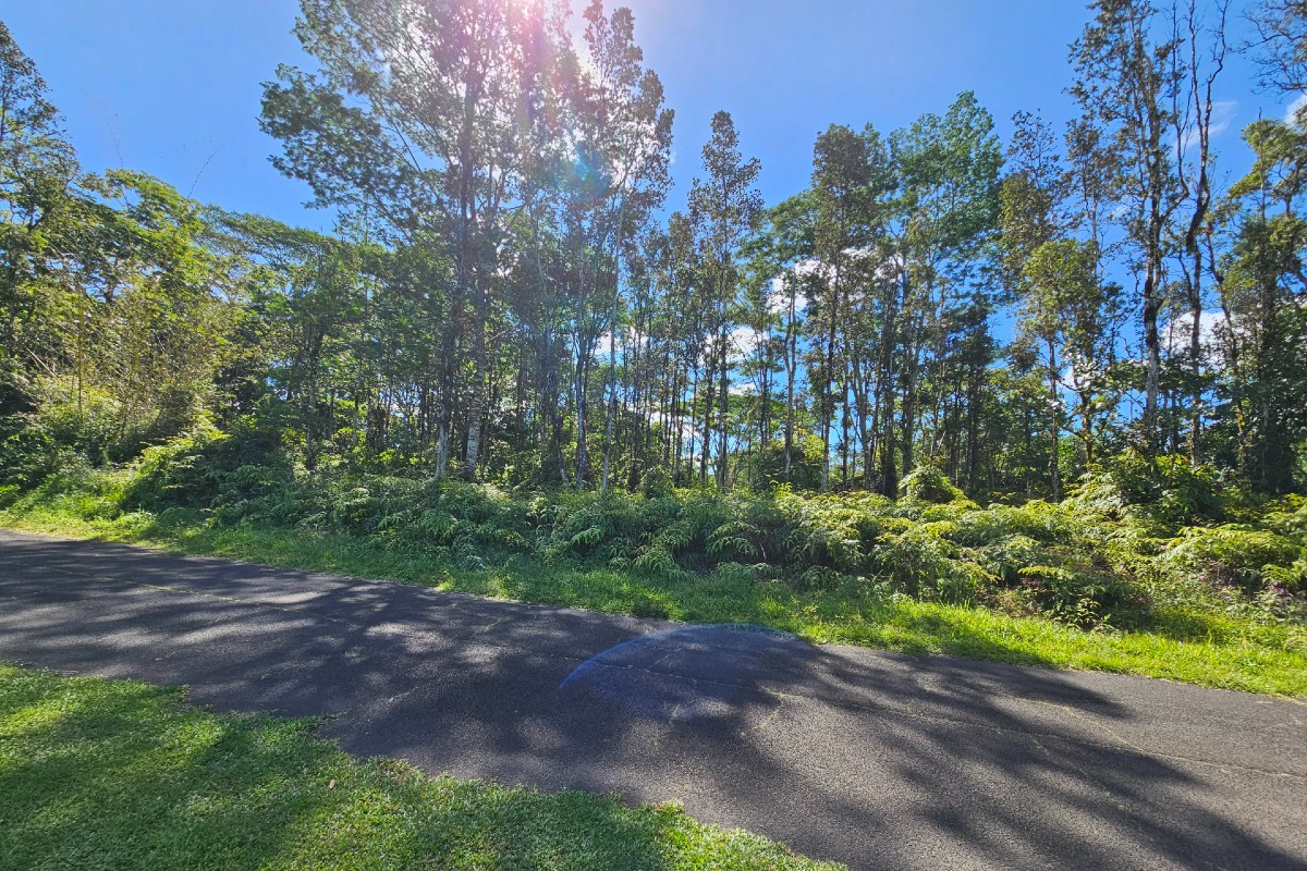 1042 Church Road Pahoa, HI 96778 - Photo 3 of 4 Gallery Image 3