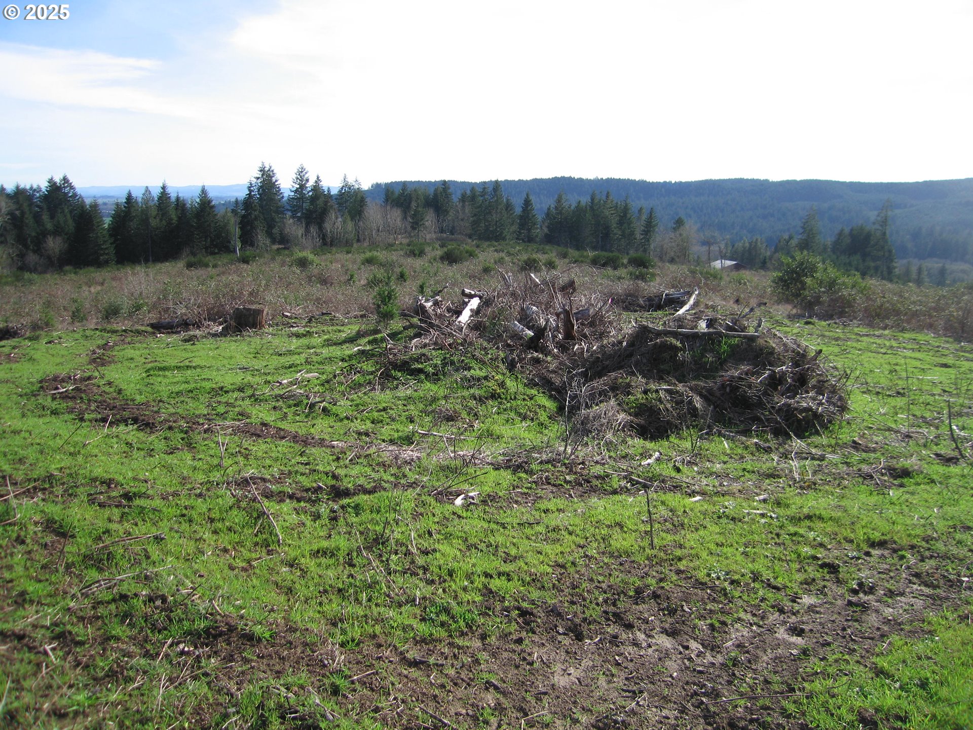 20345 Northwest Murphy Road North Plains, OR 97133 - Photo 4 of 6