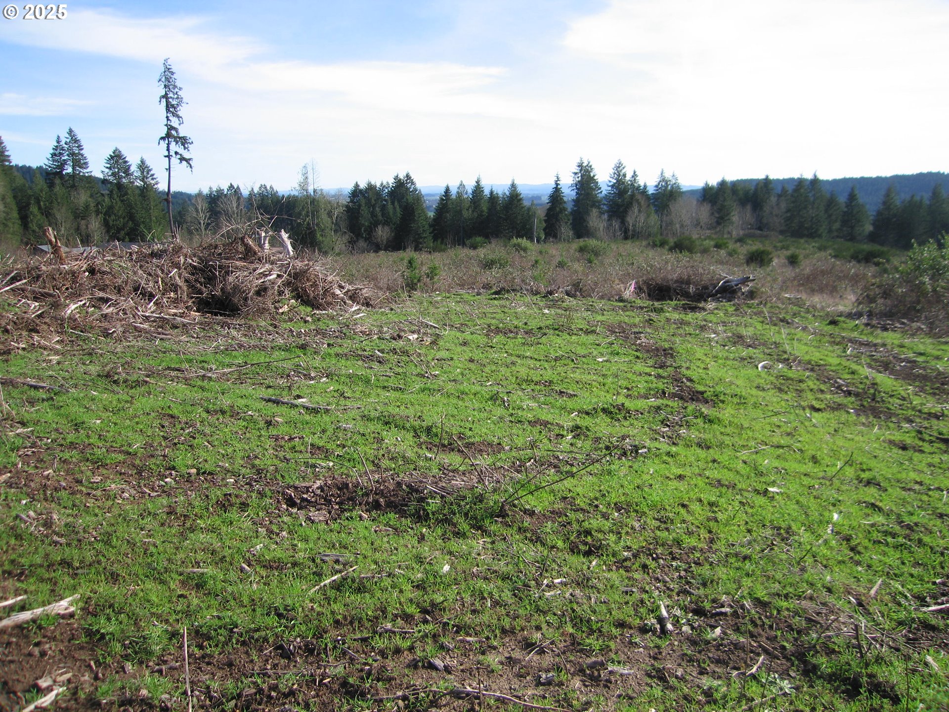 20345 Northwest Murphy Road North Plains, OR 97133 - Photo 6 of 6