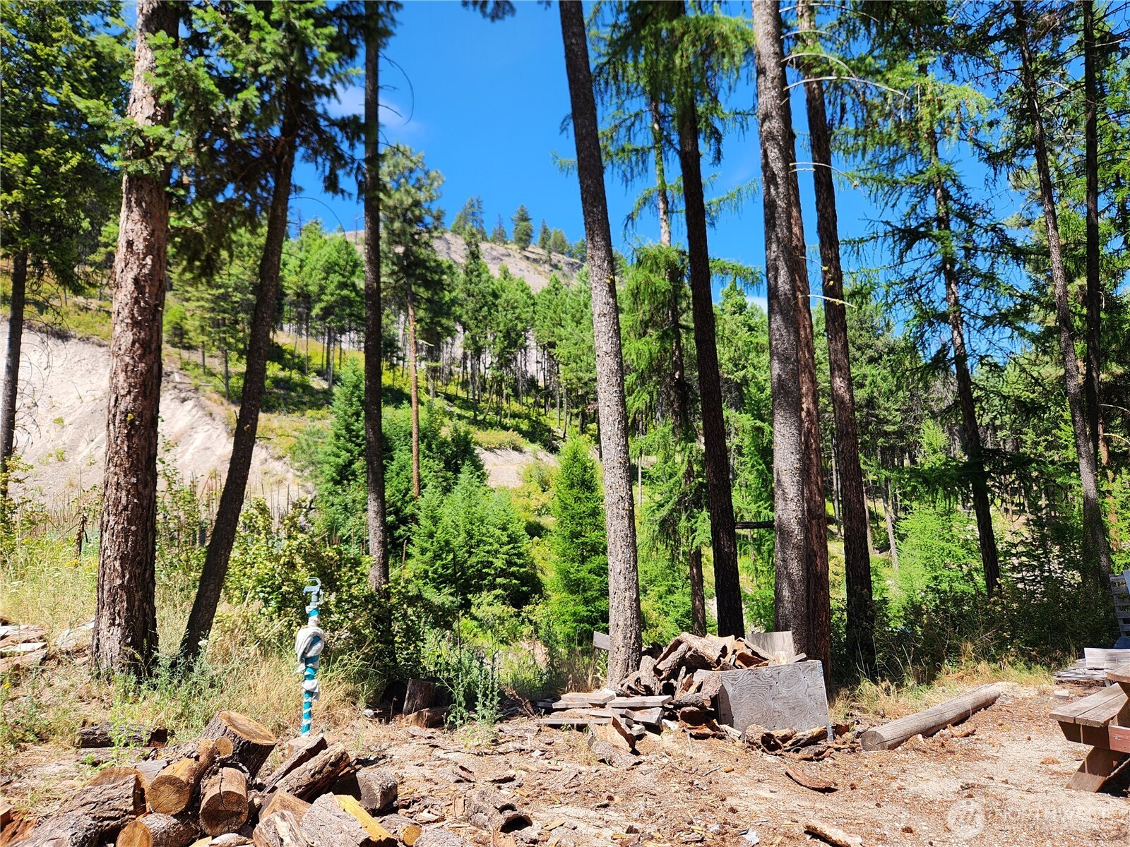 302 Klondike Road Republic, WA 99166 - Photo 10 of 10 a view of a backyard of a house