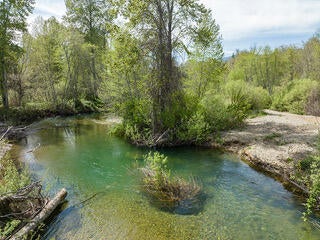 883 Deer Creek Road Selma, OR 97538 - Photo 54 of 59 65