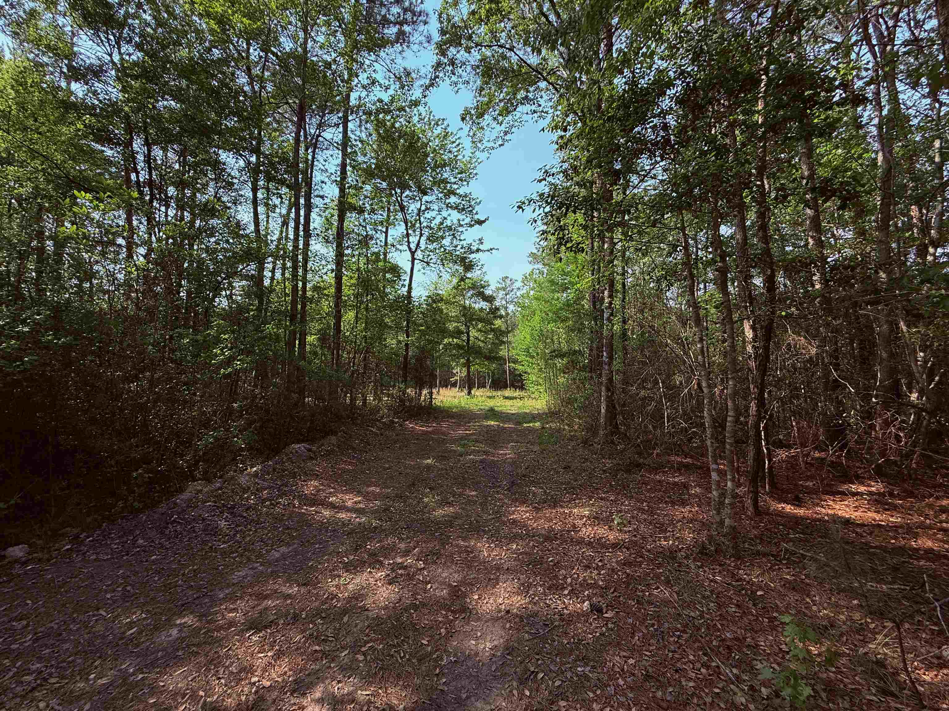 2400 Sunny Heights Road Longs, SC 29568 - Photo 4 of 10