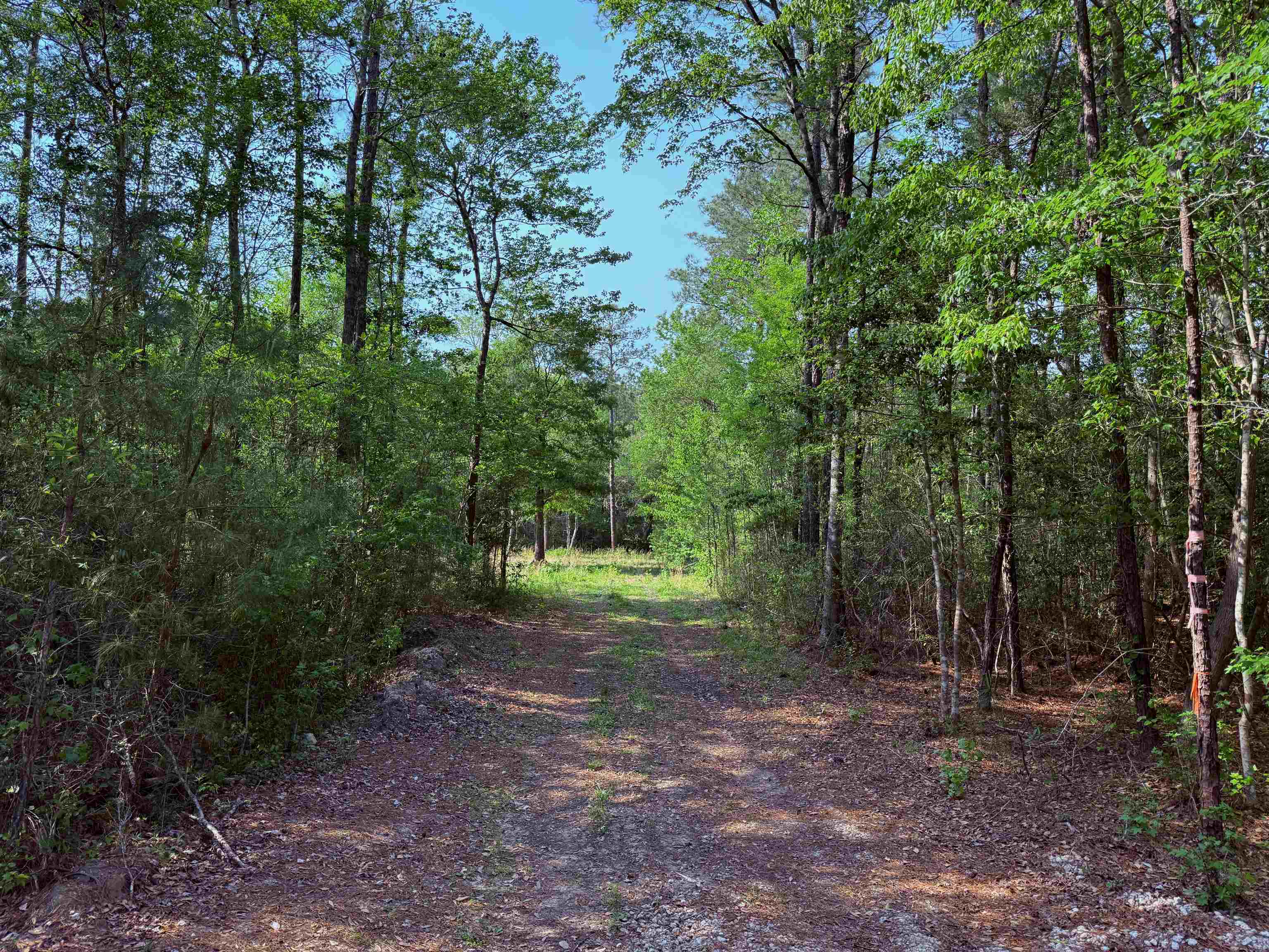 2400 Sunny Heights Road Longs, SC 29568 - Photo 5 of 10