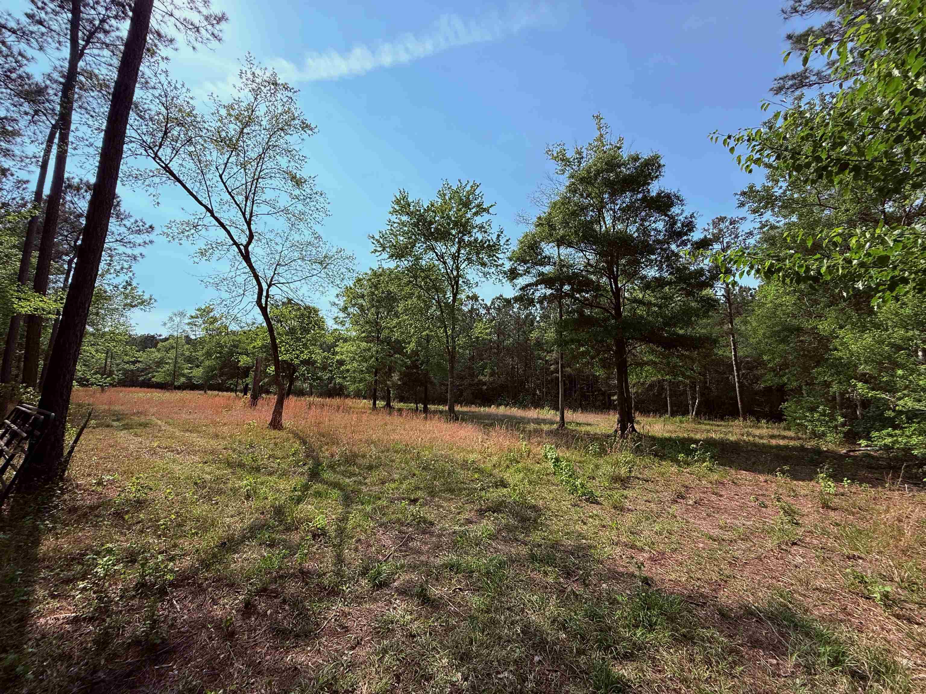 2400 Sunny Heights Road Longs, SC 29568 - Photo 6 of 10