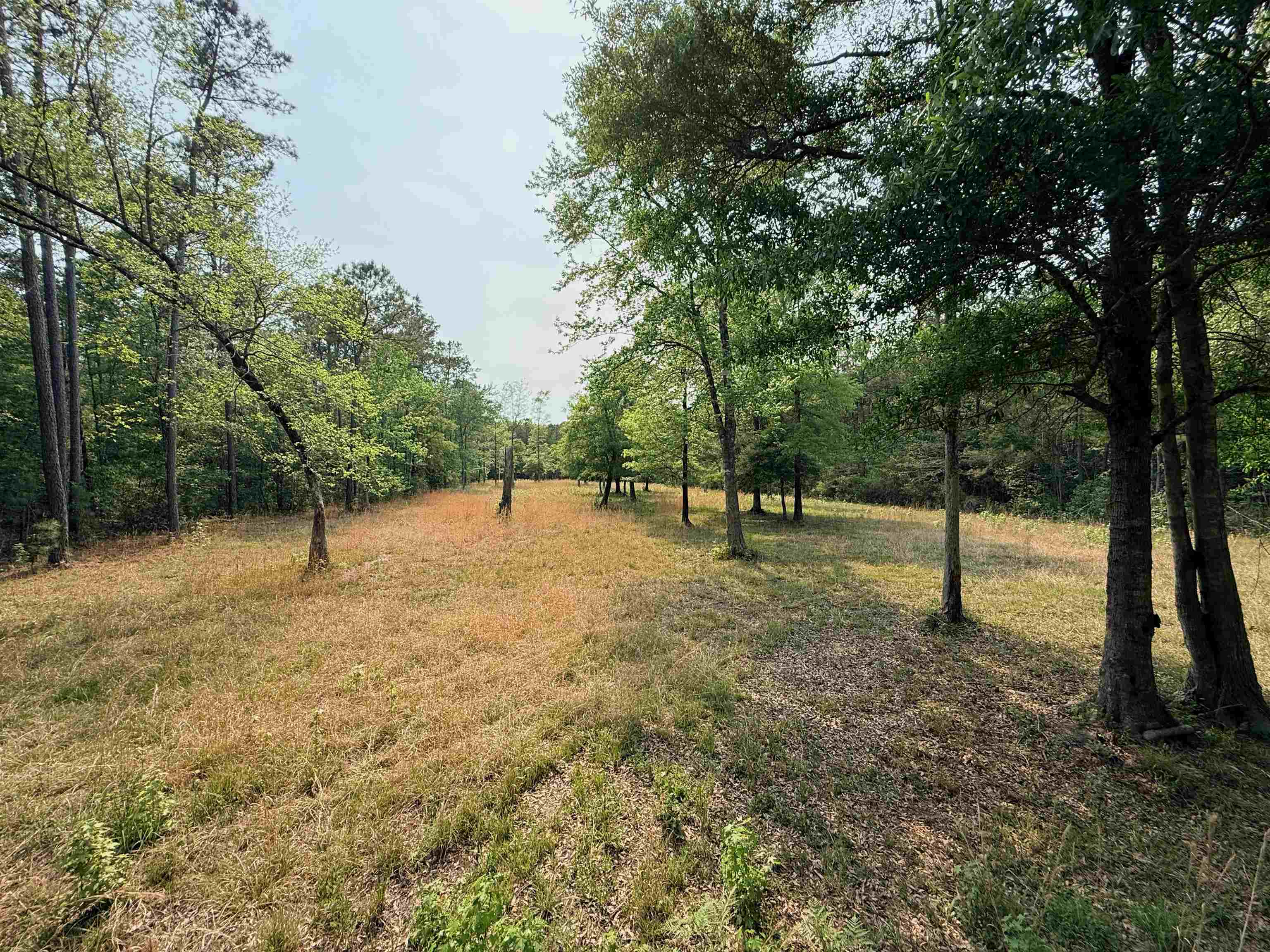 2400 Sunny Heights Road Longs, SC 29568 - Photo 7 of 10