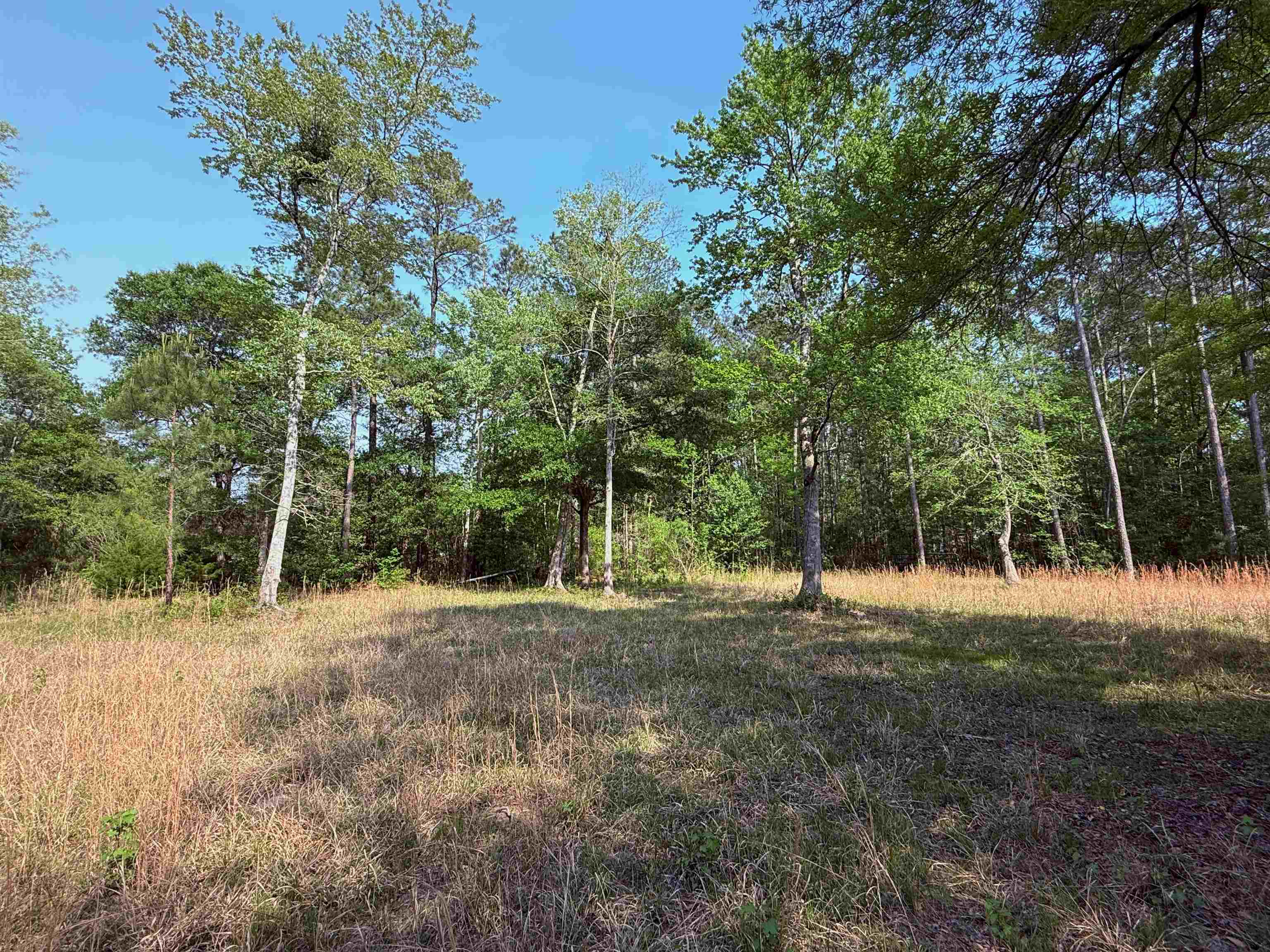 2400 Sunny Heights Road Longs, SC 29568 - Photo 10 of 10