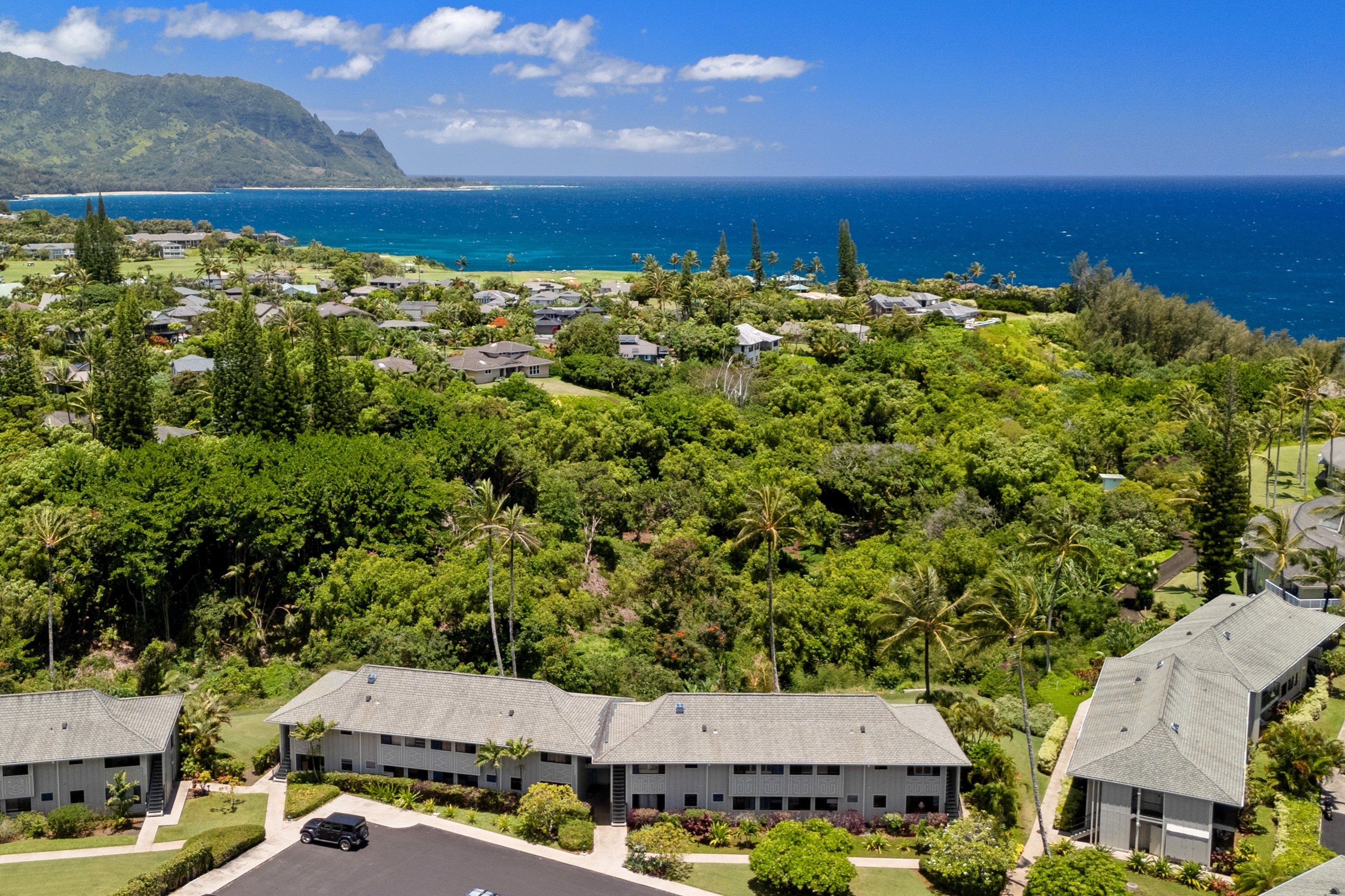 3830 Edward Road, Unit 12D Princeville, HI 96722 - Photo 25 of 30 an aerial view of multiple house