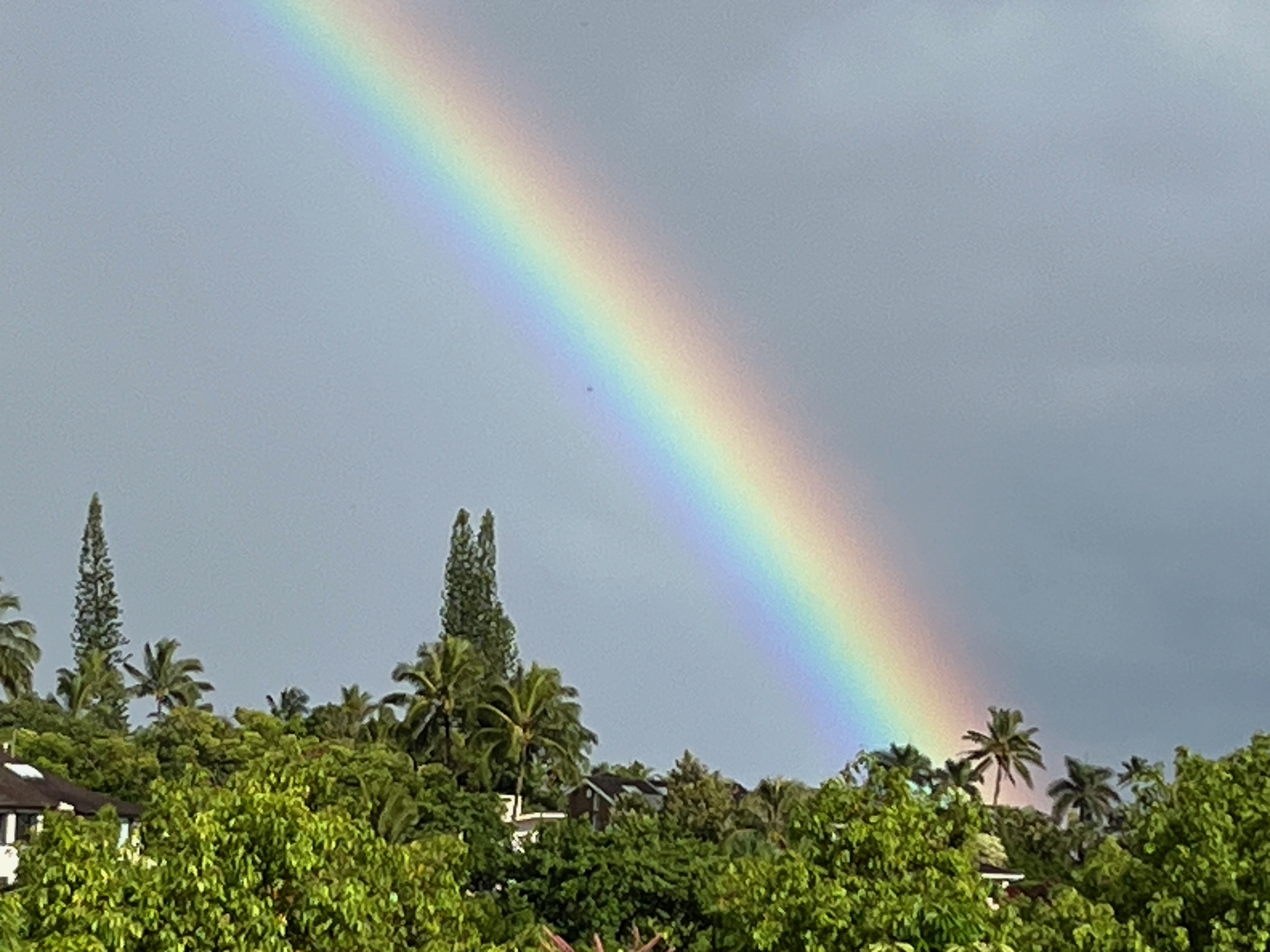 3830 Edward Road, Unit 12D Princeville, HI 96722 - Photo 29 of 30