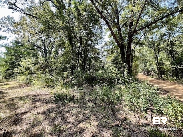 71290 Ralph Gantt Road Little River, AL 36550 - Photo 26 of 31 Gallery Image 26