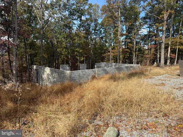 a view of yard with trees