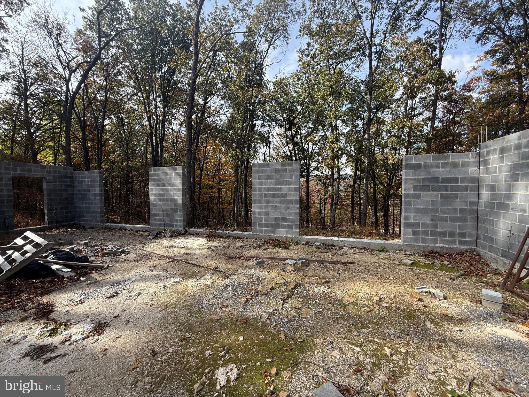 4272 Timber Ridge Road Berkeley Springs, WV 25411 - Photo 6 of 8 a backyard of a house with barbeque oven