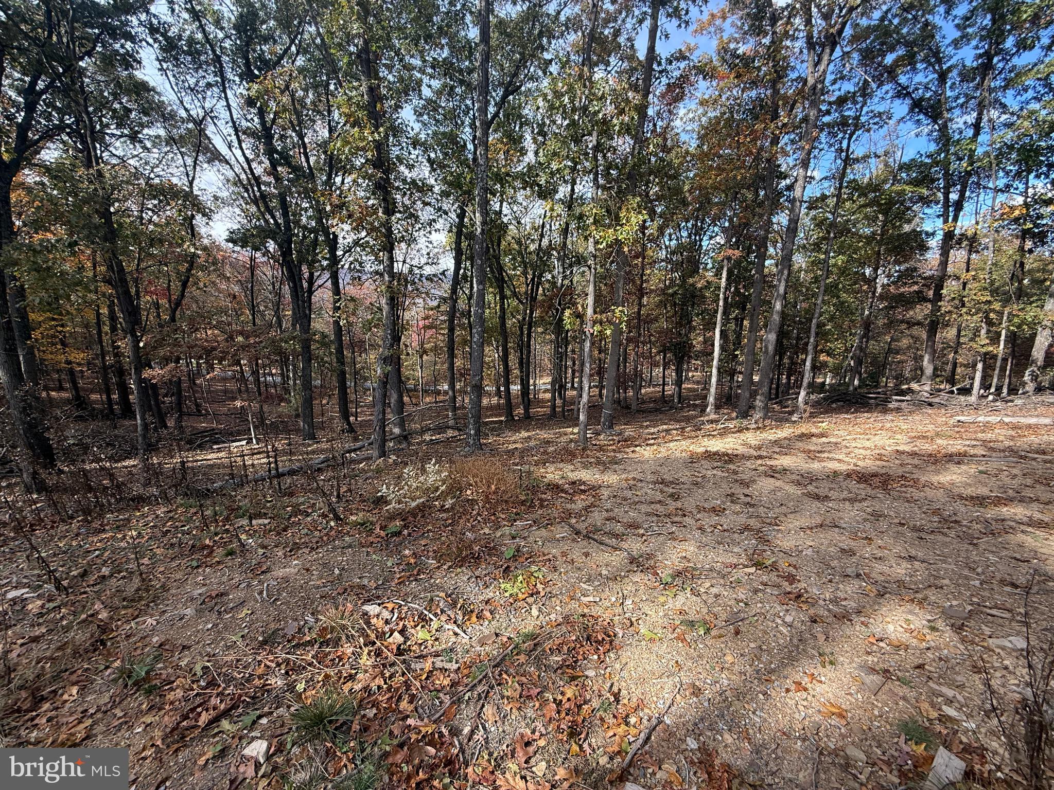 4272 Timber Ridge Road Berkeley Springs, WV 25411 - Photo 7 of 8 a view of outdoor space with trees