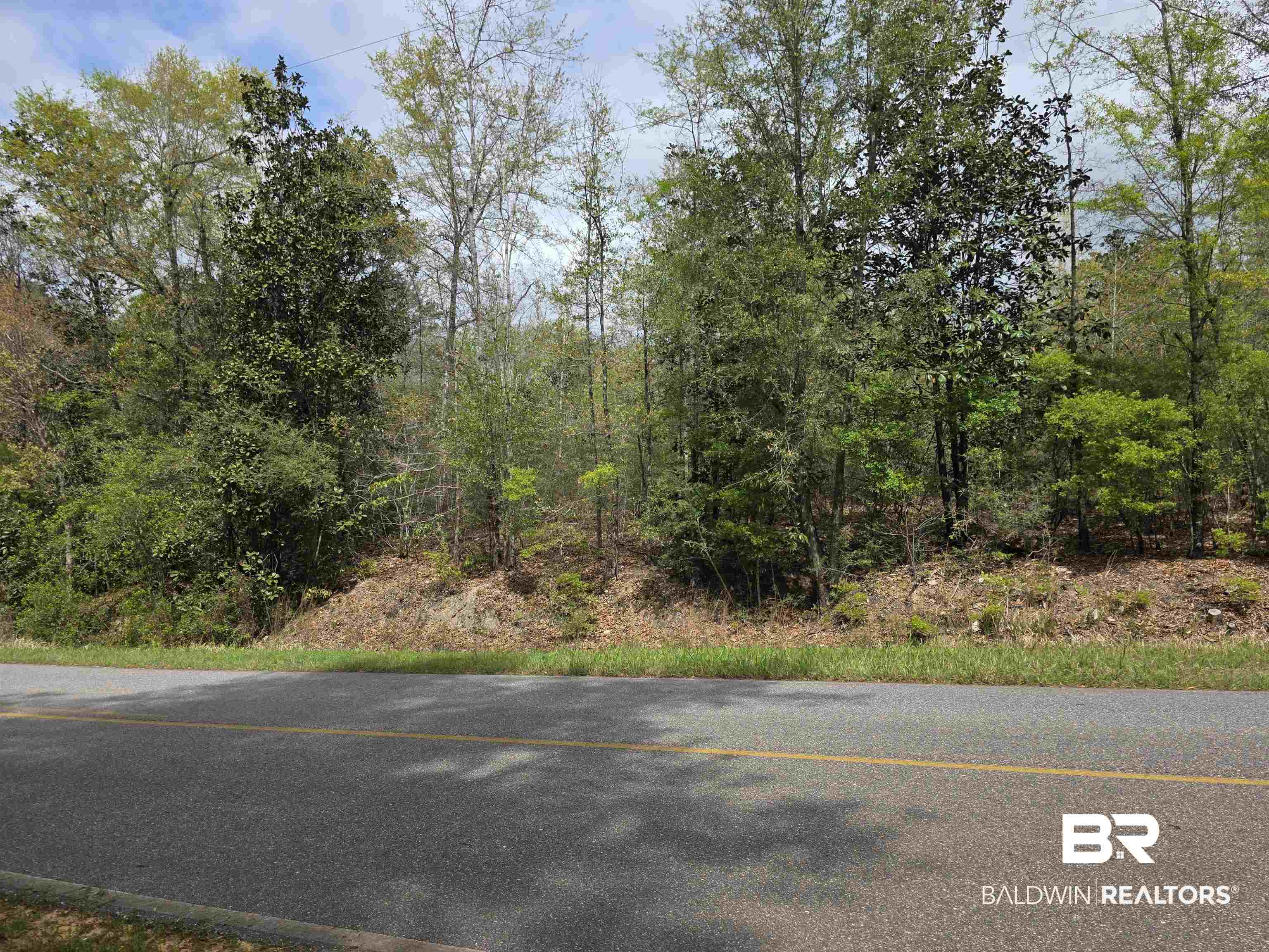 12185 Red Hill Rd Extension Bay Minette, AL 36507 - Photo 2 of 6 View of asphalt street